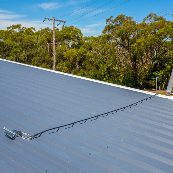 SafetyLink Wire Strop